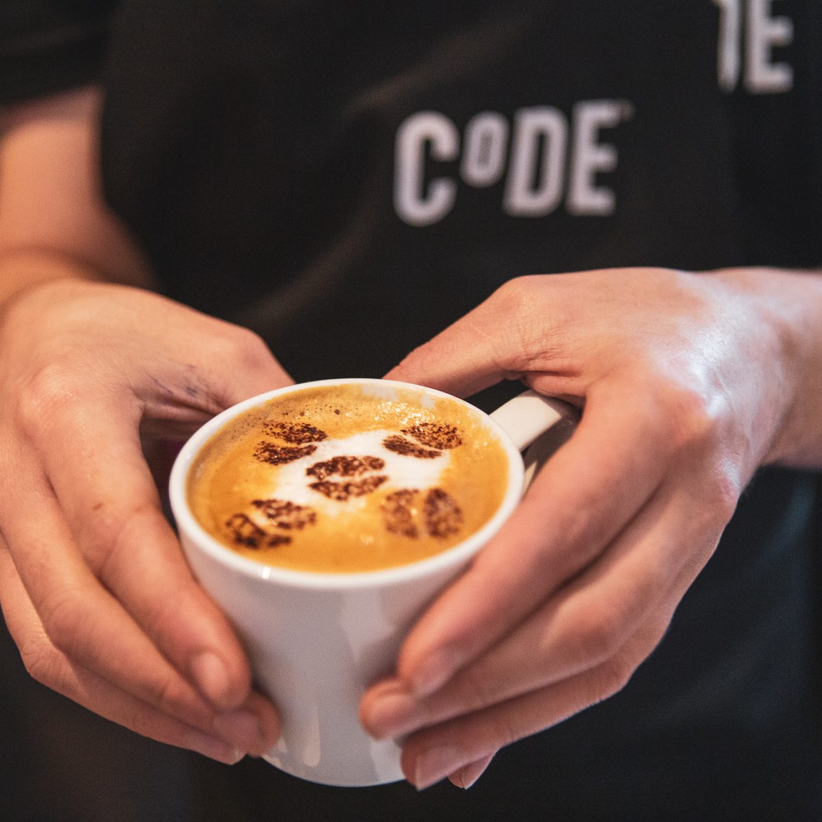 Digital Nomad's Guide to Edinburgh - CoDE Pod Hostels and Coliving Space